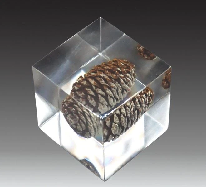 Thermoplastic Acrylic Resin Solid Acrylic Resin Thermoplastic Acrylic Resin Solid Acrylic Resin